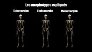 Vergessen Sie die Morphotypen!